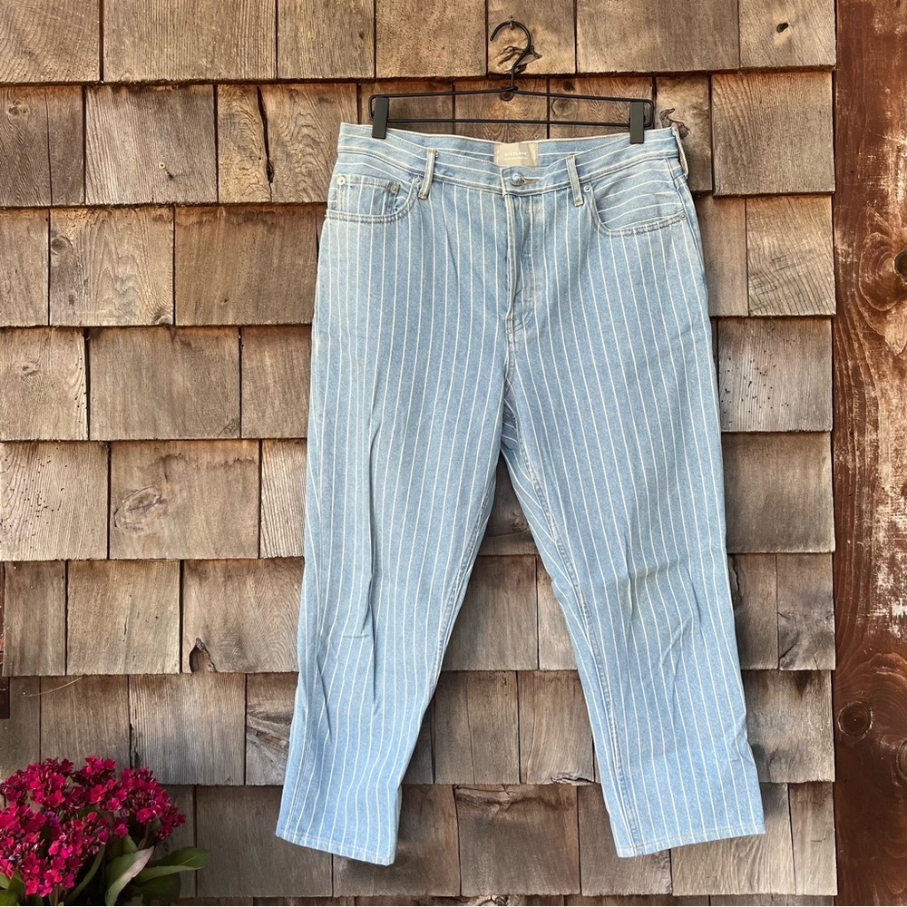 Everlane 90s cheeky Jean cropped blue pinstriped